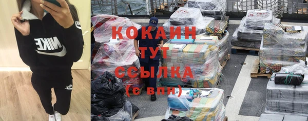 ГАЛЛЮЦИНОГЕННЫЕ ГРИБЫ Абаза