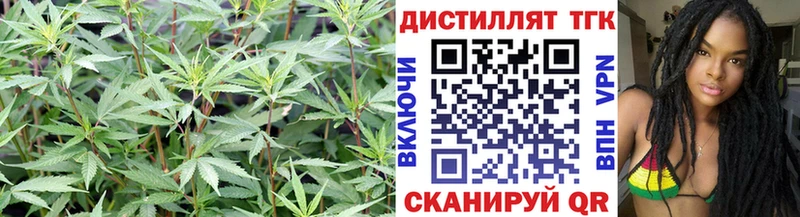 что такое наркотик  гидра сайт  Дистиллят ТГК Wax  Грайворон 