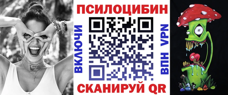 blacksprut зеркало  Грайворон  Псилоцибиновые грибы Psilocybe 
